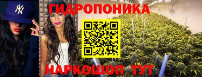 хмурый Партизанск