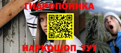 ECSTASY Обь
