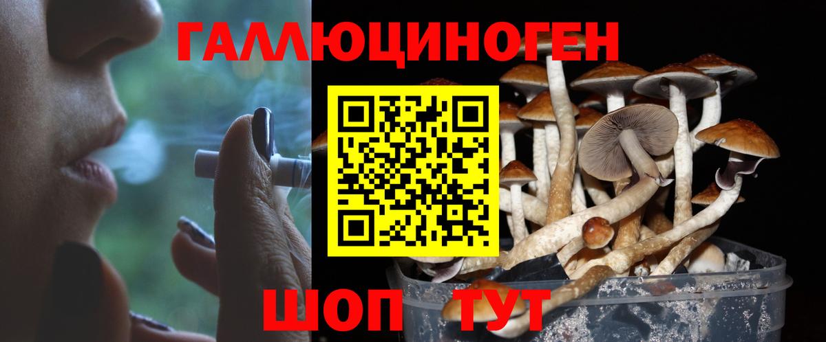 Сертолово  Псилоцибиновые грибы прущие грибы  Вход с VPN  Псилоцибиновые грибы Magic Shrooms 